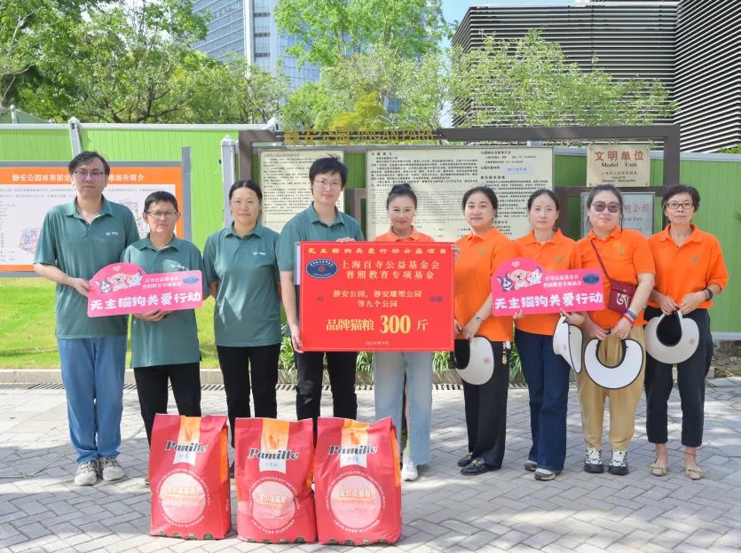 无主猫狗关爱项目