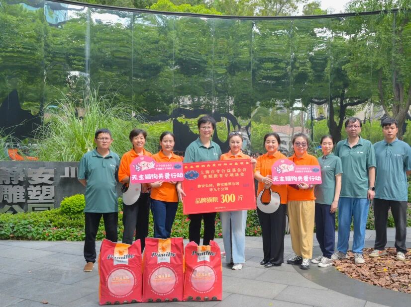 社会治理项目图片2