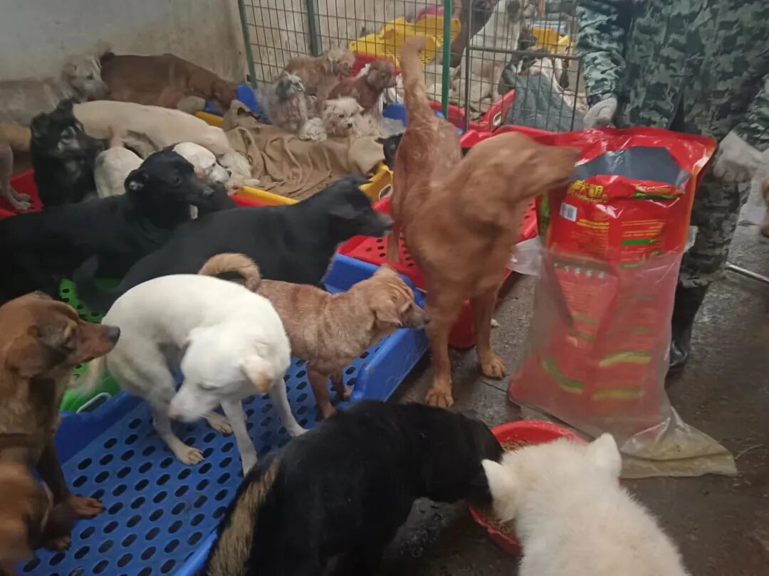 社会治理项目图片3