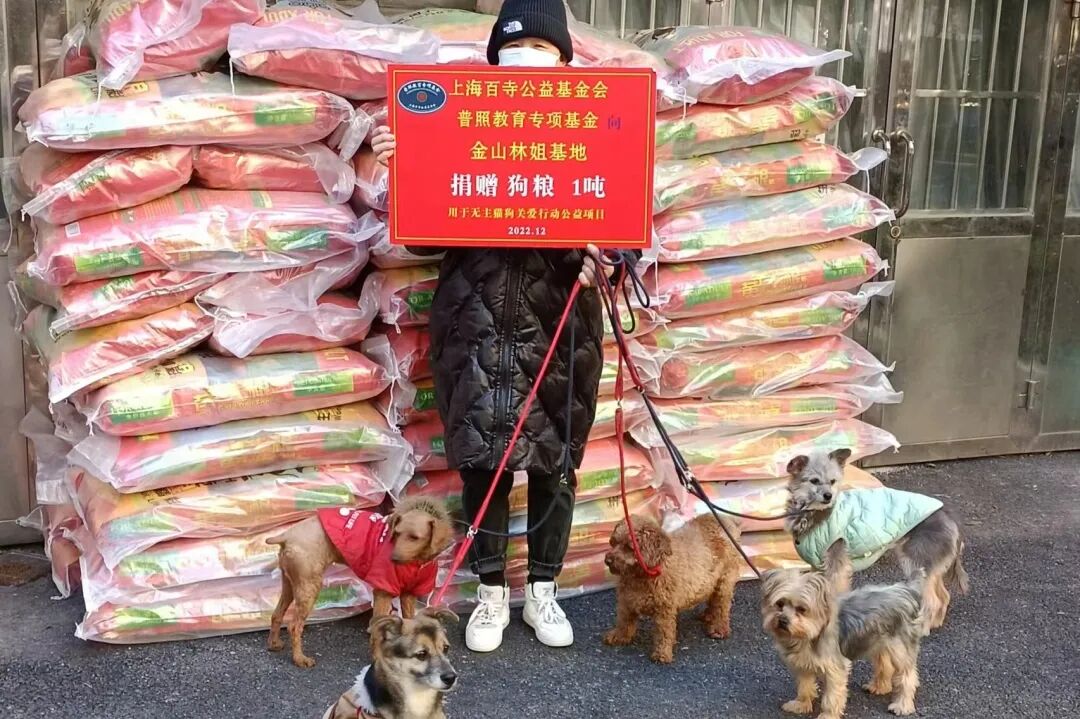 社会治理项目图片4