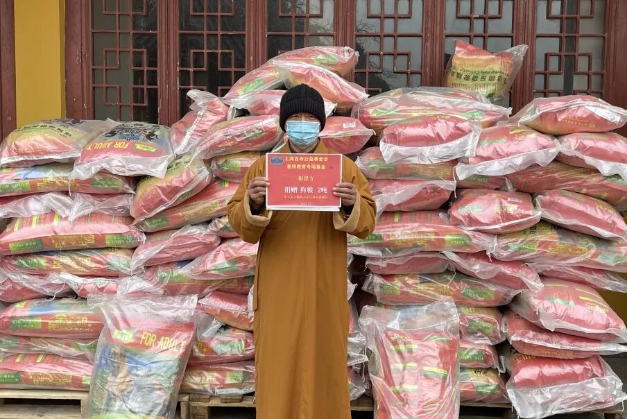 社会治理项目图片5