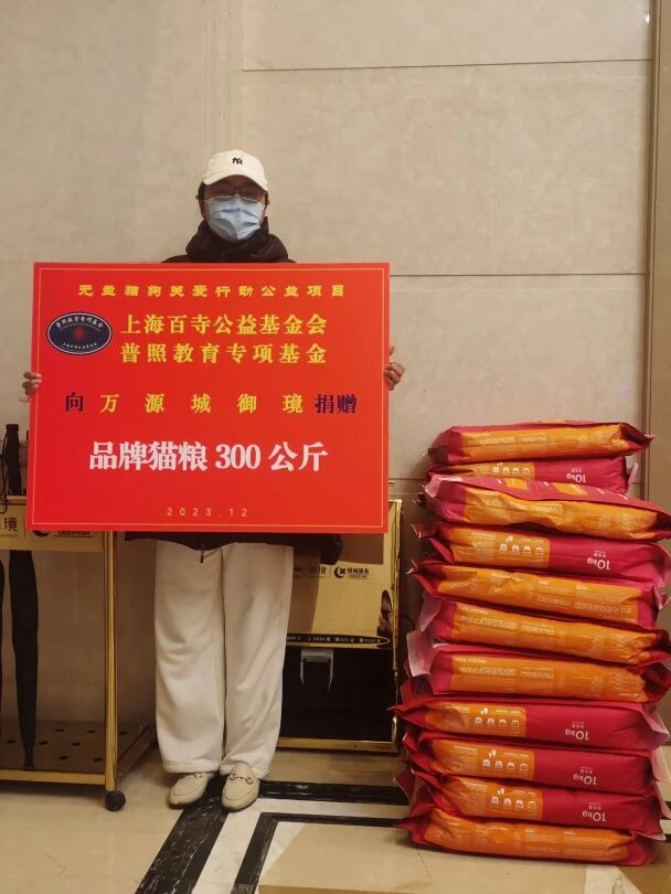 社会治理项目图片6