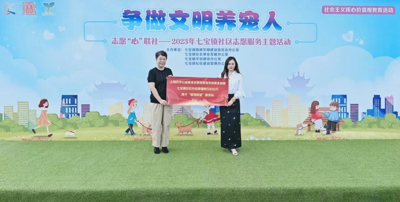 社会治理项目图片7